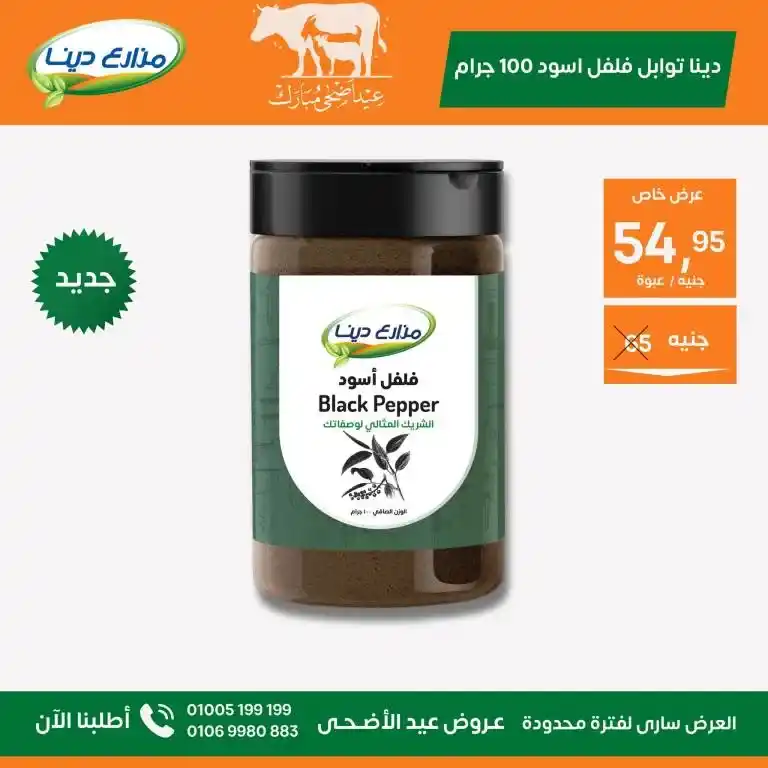 Dina Farms Offers 2025