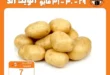 أقوى عروض جملة ماركت في نهاية مايو 2025