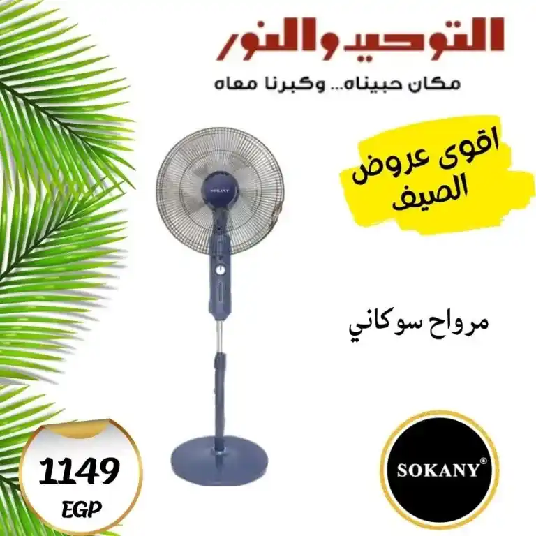 عروض التوحيد والنور 2025
