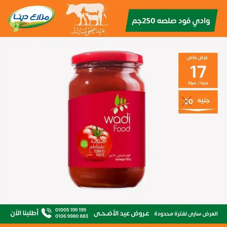 Dina Farms Offers 2025