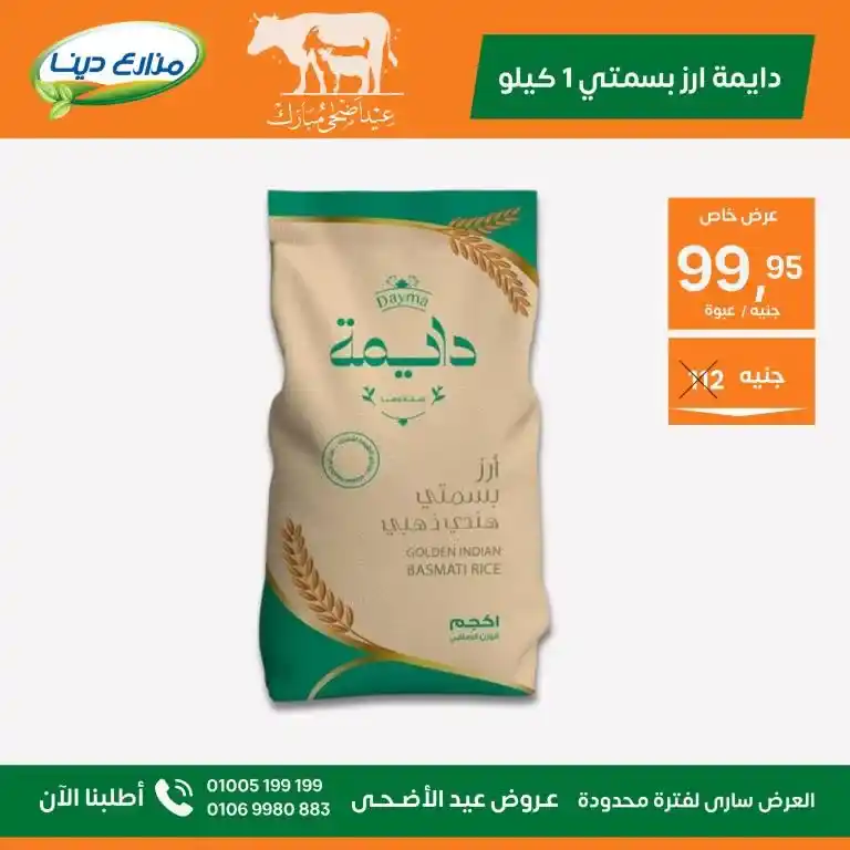 Dina Farms Offers 2025