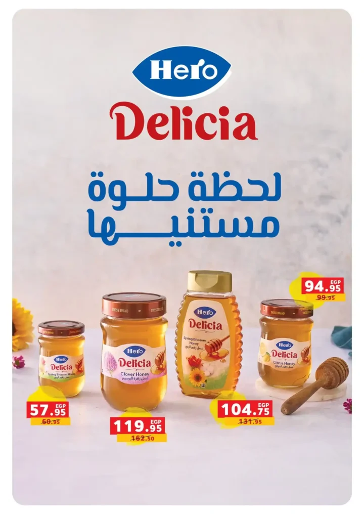 Panda Egypt Offers 2025
