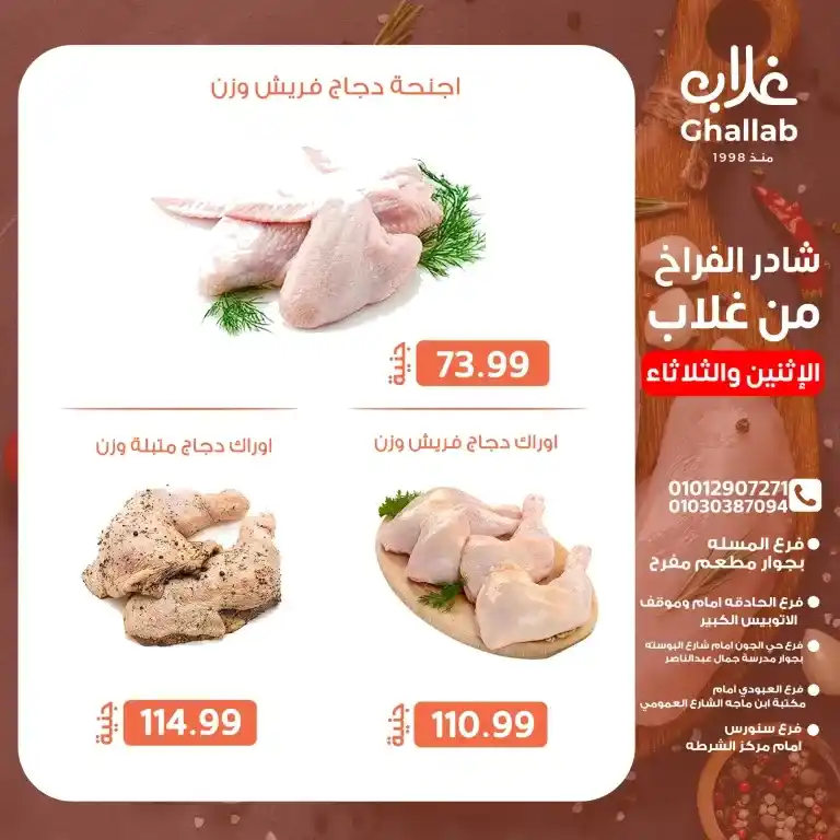 عروض غلاب الفيوم يوم الثلاثاء 20 والأربعاء 21 مايو 2025