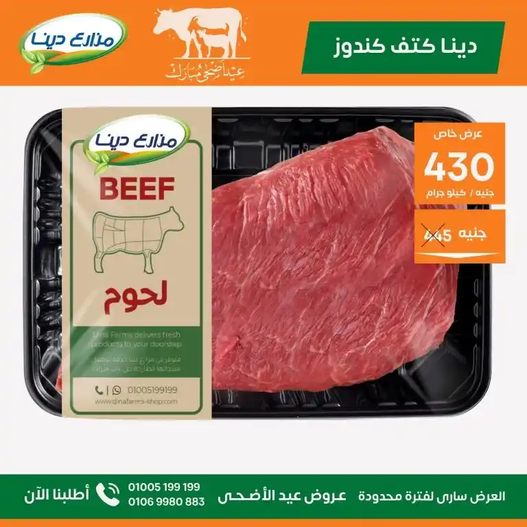 عروض مزارع دينا 2025 