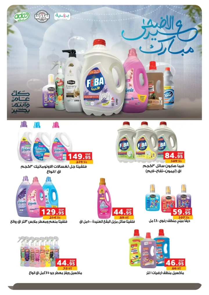Panda Egypt Offers 2025
