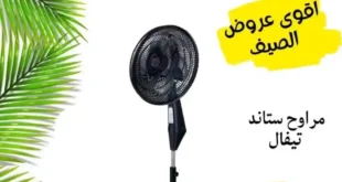 عروض التوحيد والنور 2025: خصومات على مدار الأسبوع (ما عدا الخميس والجمعة) من الساعة 11 صباحًا حتى 11 مساءً