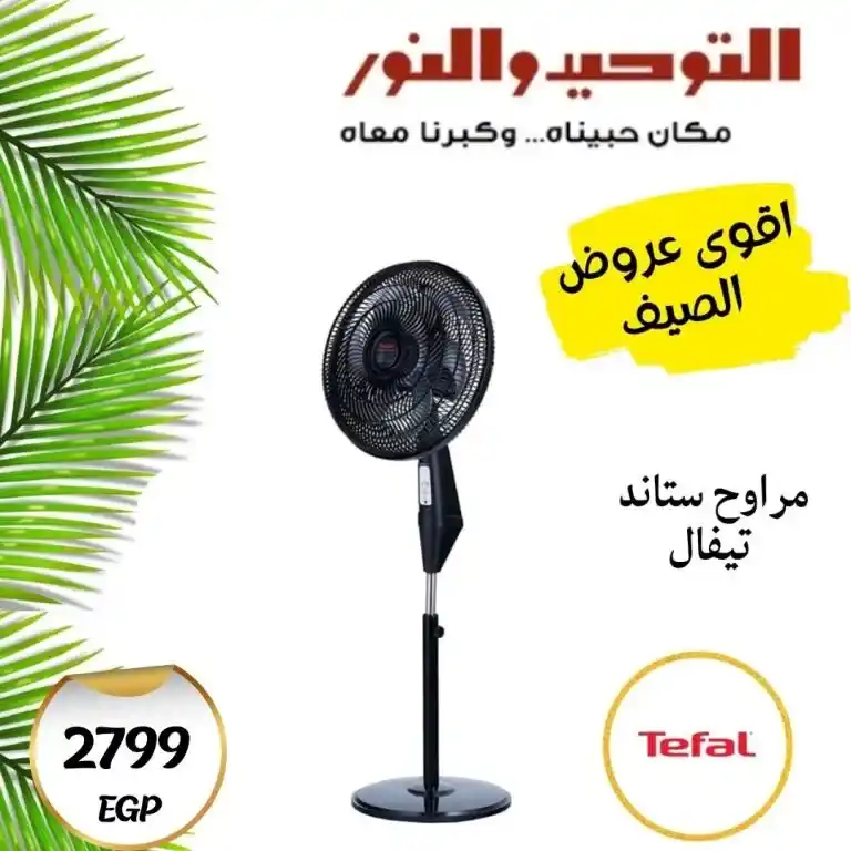 عروض التوحيد والنور 2025