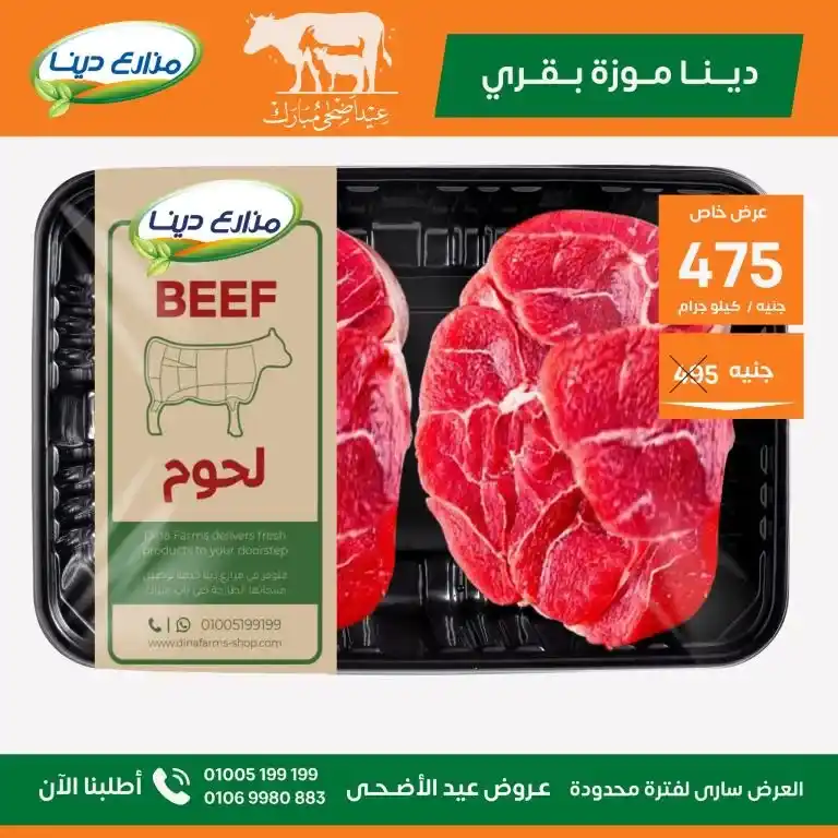 عروض مزارع دينا 2025 