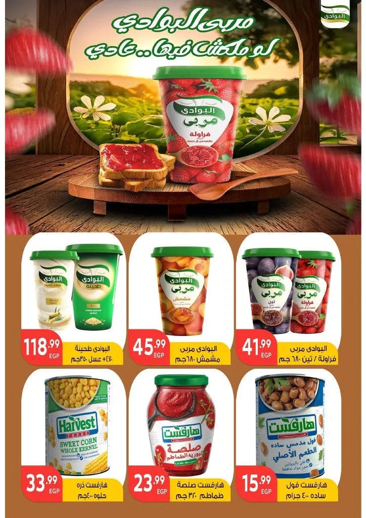Mahlawy Sons offers until May 25, 2025