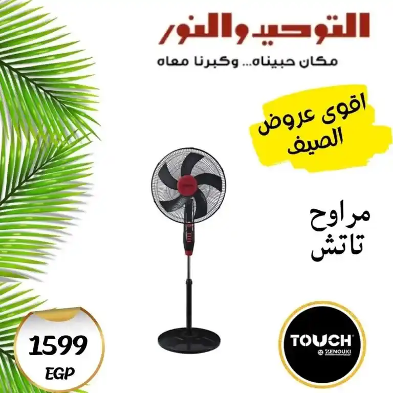 Tawhid and Noor 2025 Offers