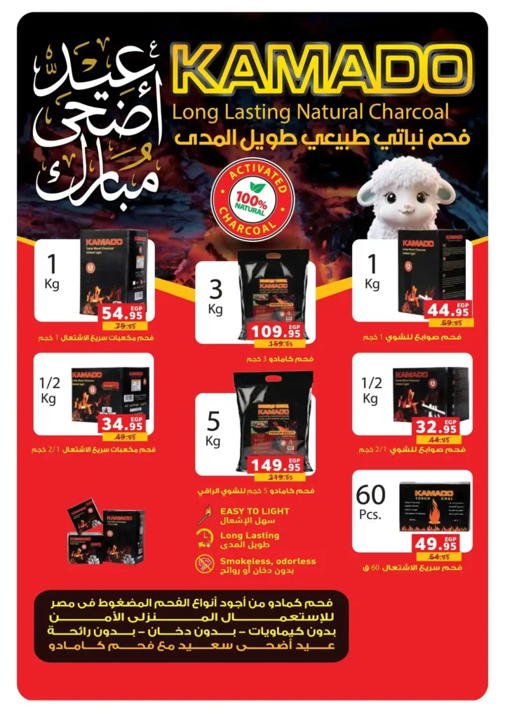 Panda Egypt Offers 2025
