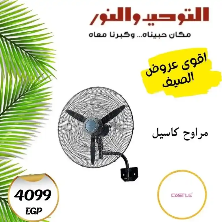 Tawhid and Noor 2025 Offers