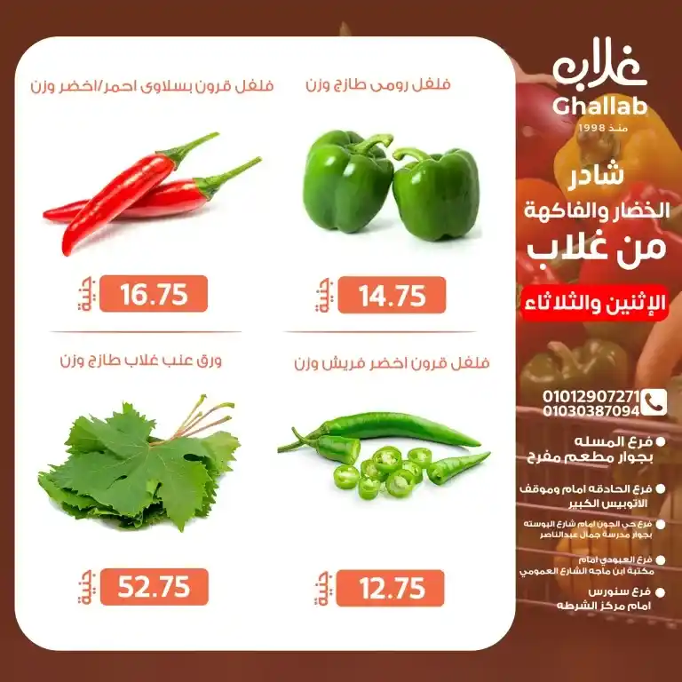 عروض غلاب الفيوم يوم الثلاثاء 20 والأربعاء 21 مايو 2025