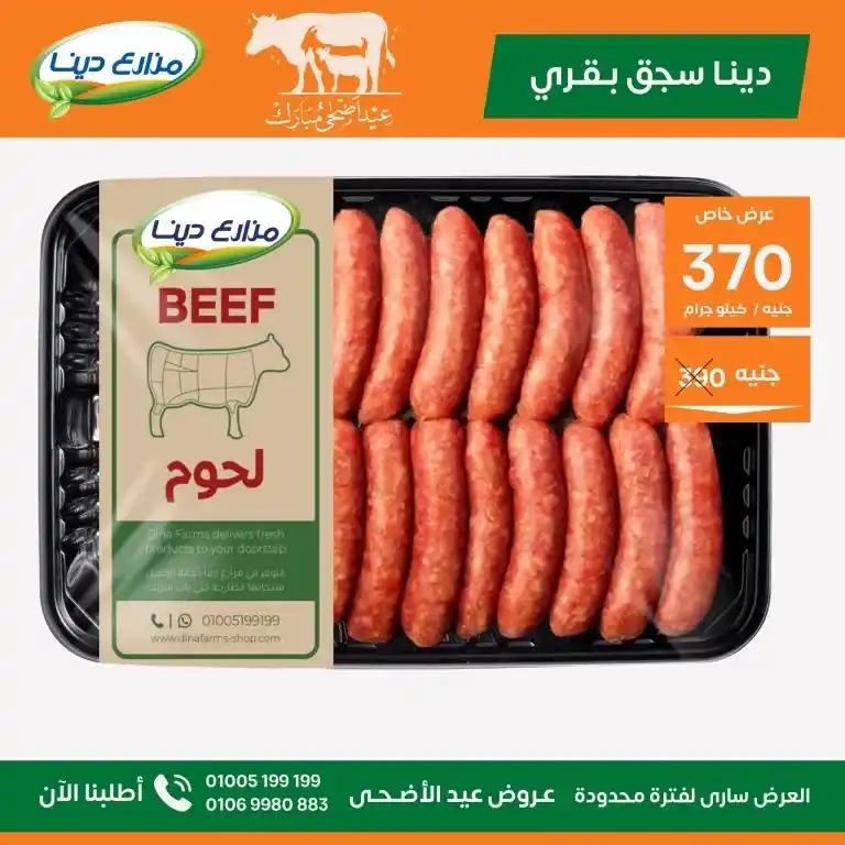 عروض مزارع دينا 2025 