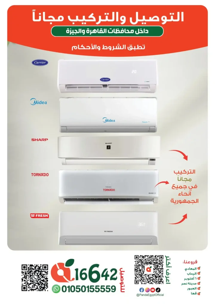 Panda Egypt Offers 2025
