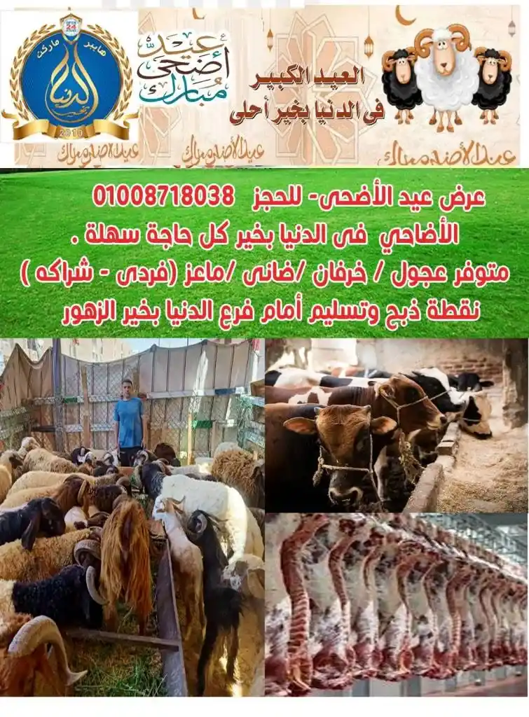 Al Donia Bkhair Ismailia Eid Al Adha 2025 Offers

