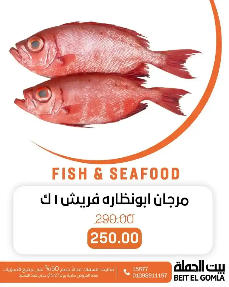 عروض بيت الجملة يوم 27 مايو 2025