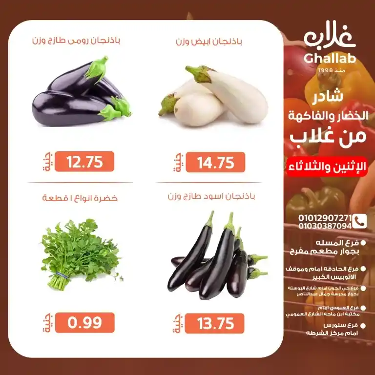 Ghallab Fayoum offers on Tuesday, May 20 and Wednesday, May 21, 2025

