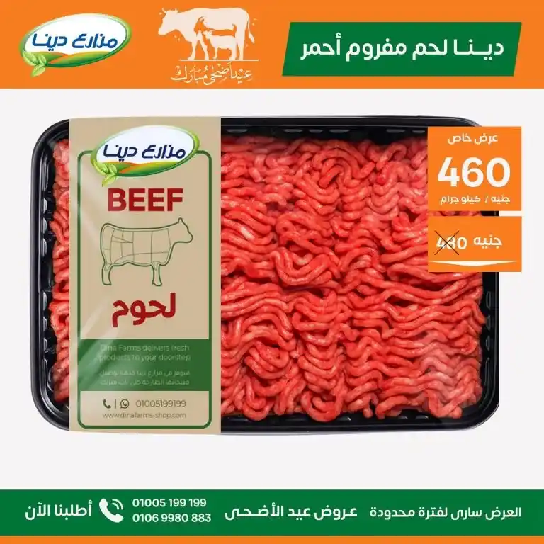 عروض مزارع دينا 2025 
