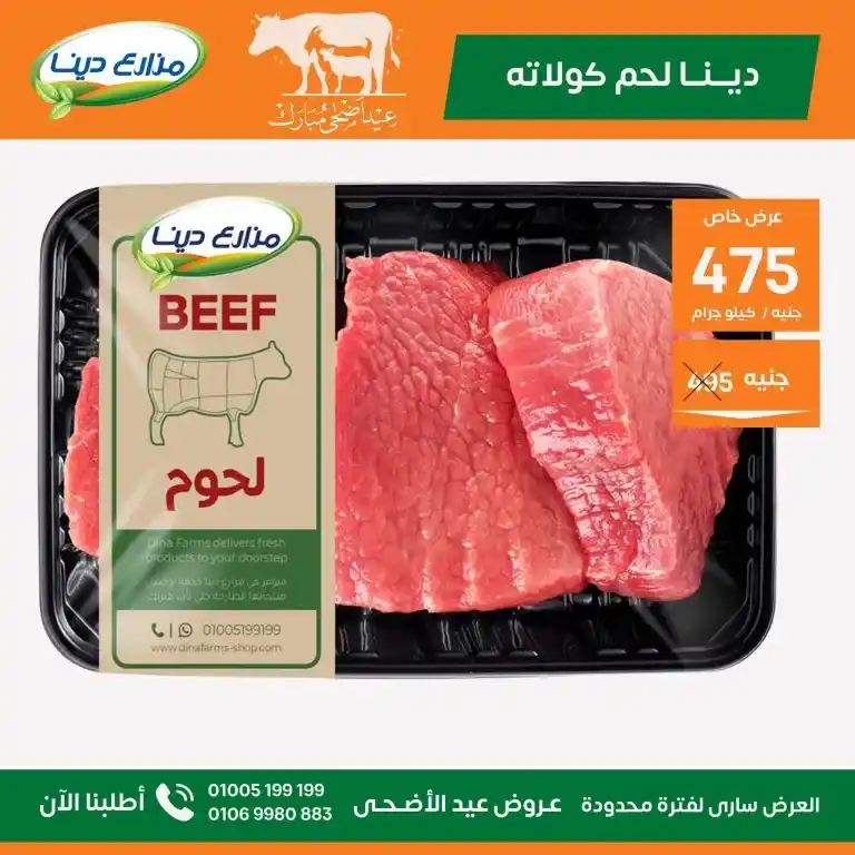 عروض مزارع دينا 2025 