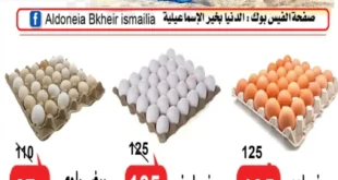 عروض مصر - عروض الدنيا بخير الإسماعيلية 2025
