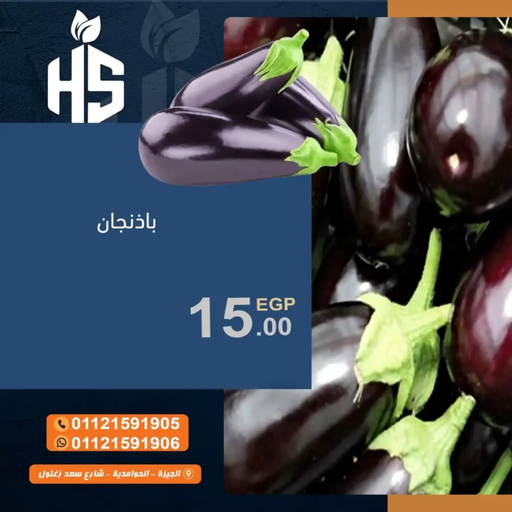  عروض أولاد حسان 2025