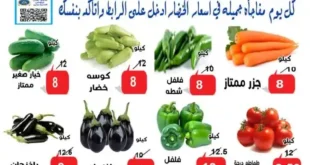 أقوى عروض الخضار اليومية من الدنيا بخير الإسماعيلية 2025 : محاشي سادة أو سبايسي