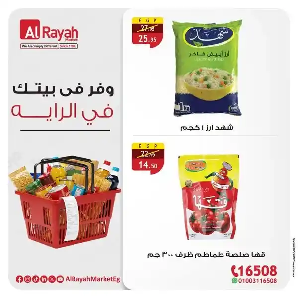 عروض مصر - عروض الراية 2025