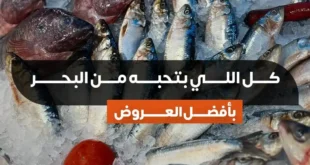 عروض بيت الجملة 17 يونيو 2025 – استمتع بأشهى الأسماك ونص السعر على التسوية .