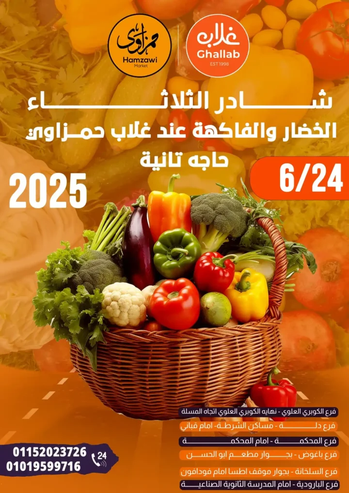  عروض غلاب ماركت يوم الثلاثاء 24 يونيو 2025
