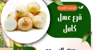 عروض هايبر A2Z على الخضار والفاكهة