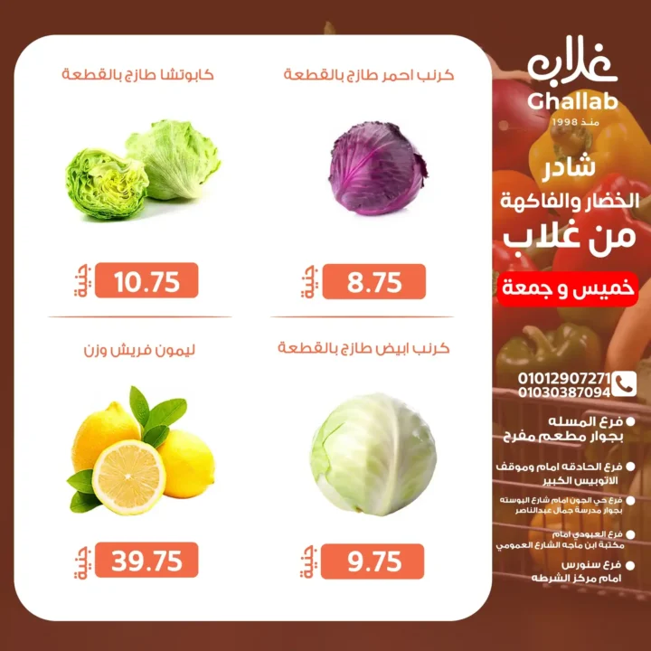 Ghallab Markets Offers 2025