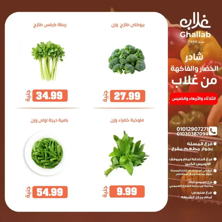 Ghallab Markets offers in Fayoum until June 5, 2025: