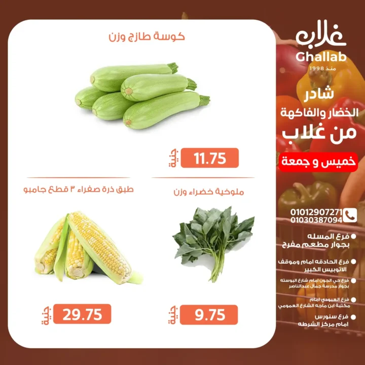 Ghallab Markets Offers 2025