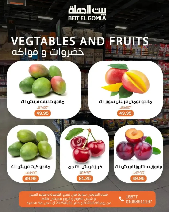 عروض بيت الجملة 2025