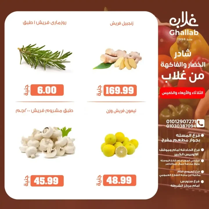 Ghallab Markets offers in Fayoum until June 5, 2025: