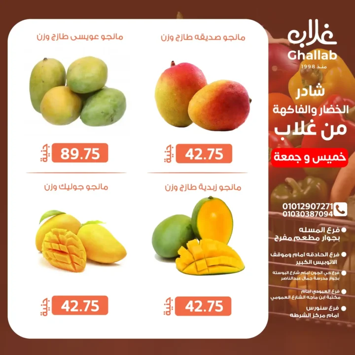 Othaim Egypt Offers 2025