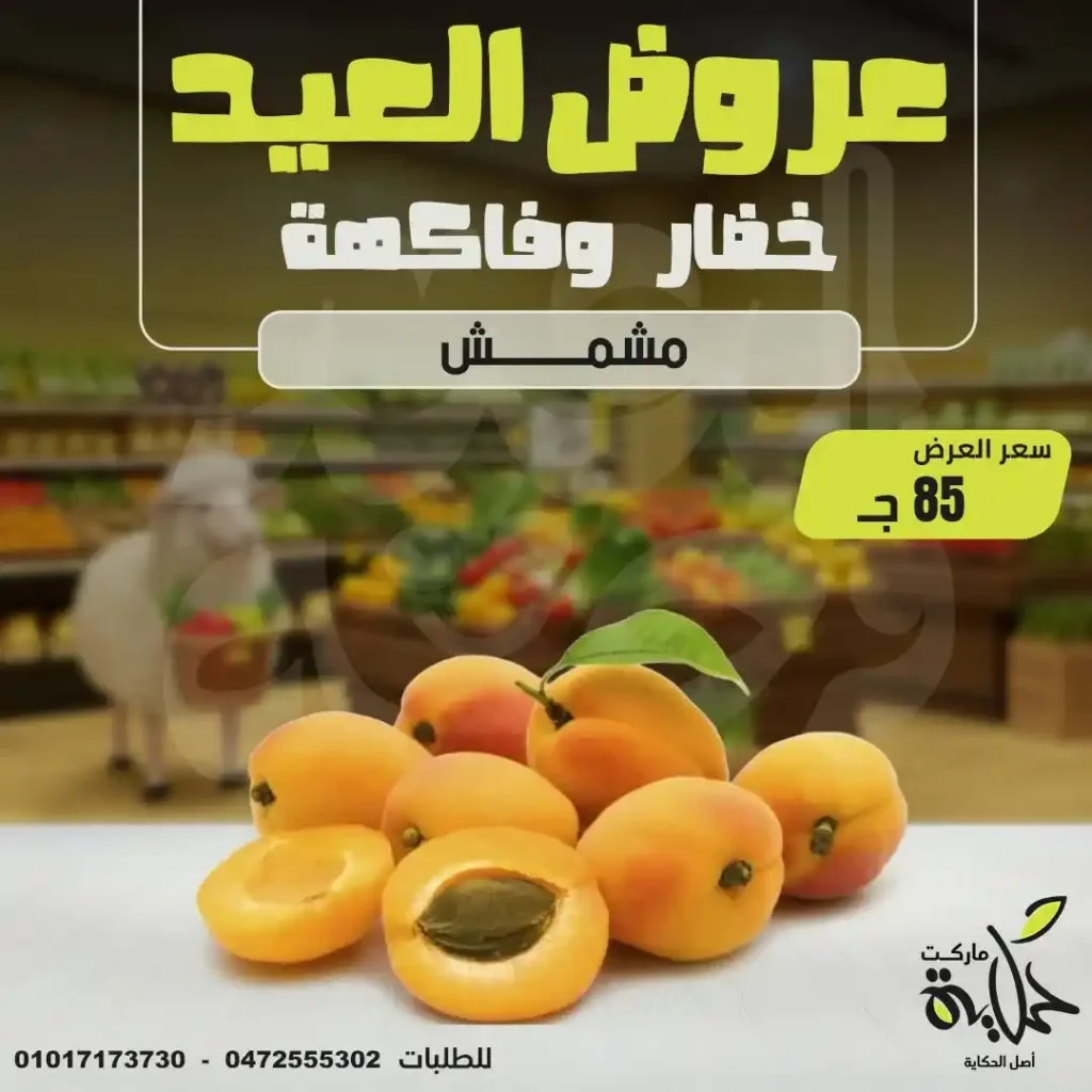 Hekaya Markets offers in June 2025: