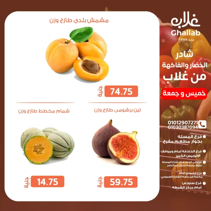 Othaim Egypt Offers 2025