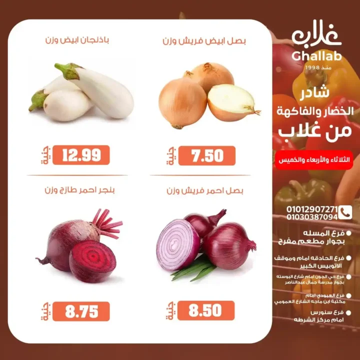 Ghallab Markets offers in Fayoum until June 5, 2025: