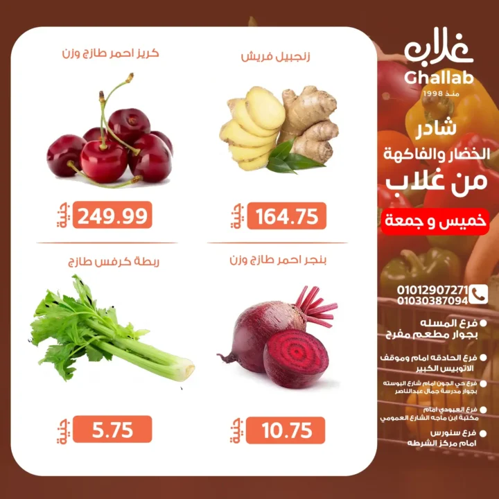 Ghallab Markets Offers 2025