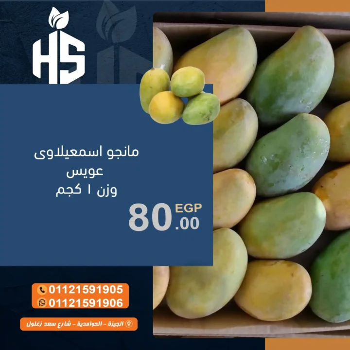  عروض أولاد حسان 2025