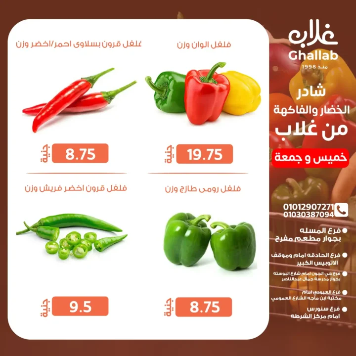 Ghallab Markets Offers 2025