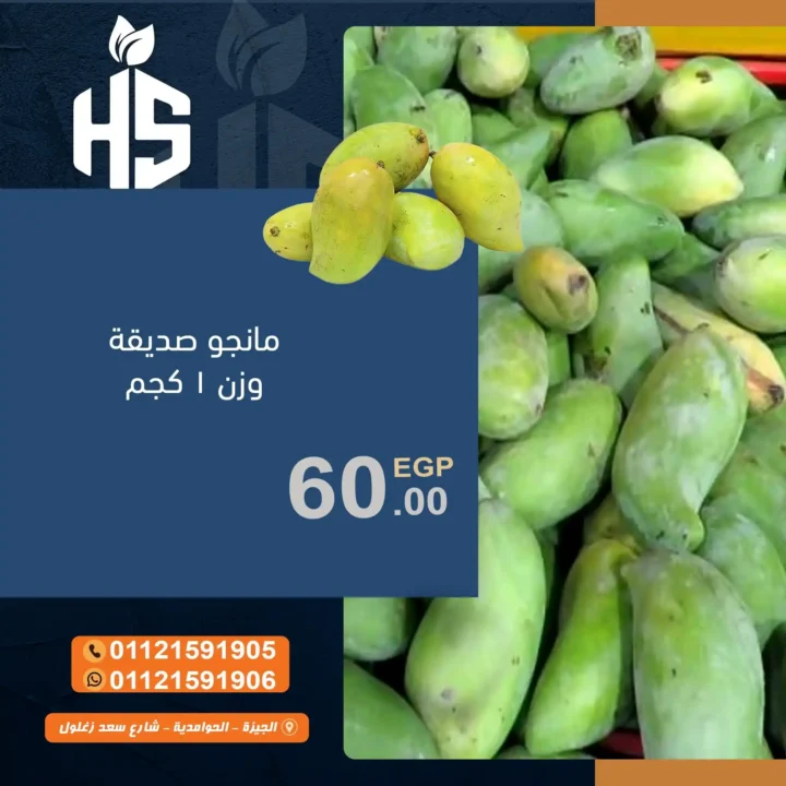  عروض أولاد حسان 2025