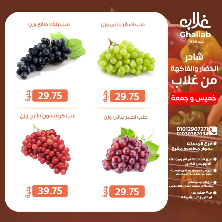 Ghallab Markets Offers 2025