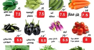 عروض مصر - عروض الدنيا بخير الإسماعيلية 2025