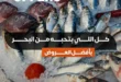 عروض بيت الجملة على الأسماك من 3 يونيو 2025