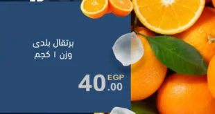 عروض أولاد حسان 2025