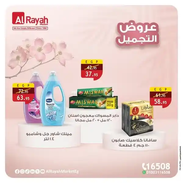 Egypt Offers | Al Raya Market Offers 2025