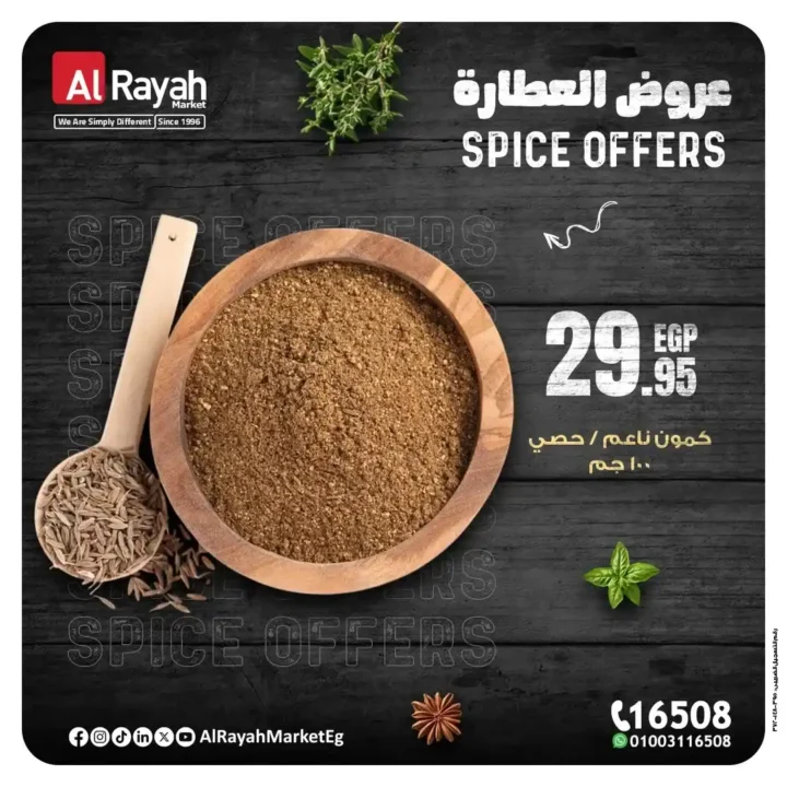 Al Raya Market Offers 2025